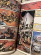 画像3: TMNT/TPB Comic set(80s) (3)