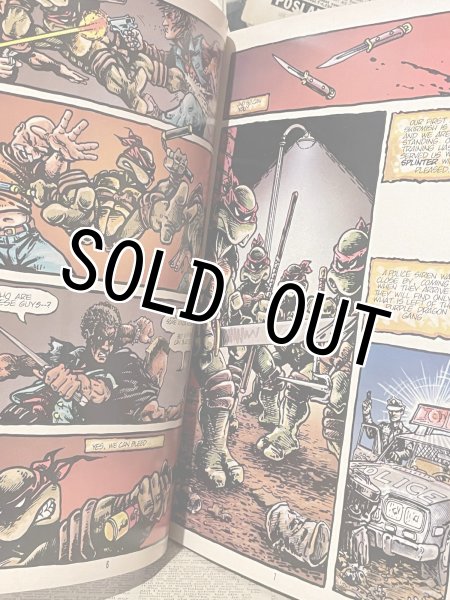 画像3: TMNT/TPB Comic set(80s) (3)
