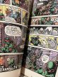 画像7: TMNT/TPB Comic set(80s) (7)