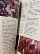 画像2: TMNT 2/Story Book(1991) (2)