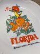 画像3: Florida Orange Bird/Ceramic Plate(70s) DI-187 (3)