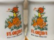 画像4: Florida Orange Bird/S&P Shakers set(70s) DI-045 (4)