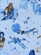 画像5: Flat Sheet Fabric(Starwars/A) (5)