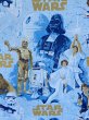 画像2: Flat Sheet Fabric(Starwars/B) (2)