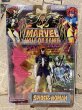 画像1: Marvel Hall of Fame/Action Figure(Spider-Woman/MOC) MA-156 (1)