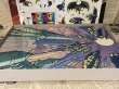 画像2: Gargoyles/Colorforms Playset(90s) (2)