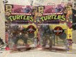 画像1: TMNT/Action Figure(25th/Bebop & Rocksteady/MOC) (1)