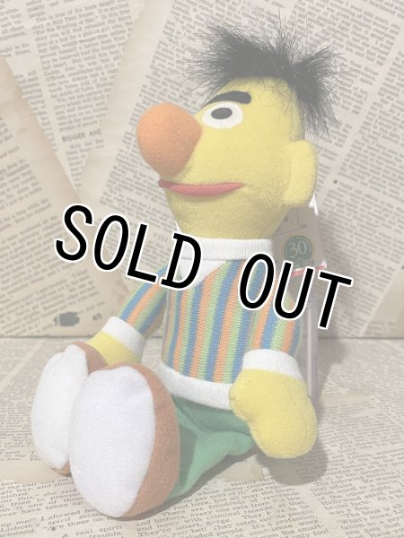 画像2: SESAME STREET/Beans Plush(Bert) (2)