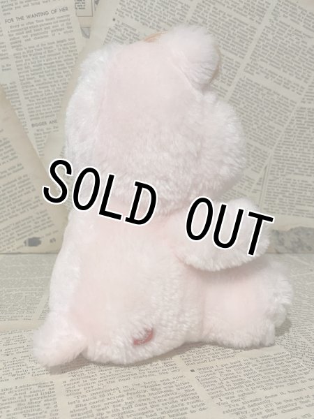 画像3: CareBear/Plush(80s/Cheer/6")    (3)