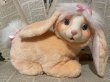 画像1: Bunny Surprise/Plush(90s) FO-080 (1)