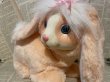 画像2: Bunny Surprise/Plush(90s) FO-080 (2)