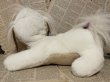 画像3: Puppy Surprise/Plush(90s) FO-074 (3)