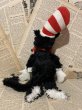 画像3: Dr. Seuss/Plush(00s/The Cat in the Hat/30cm) (3)