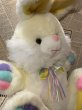 画像2: Easter Bunny/Big Plush(40cm) FO-001 (2)