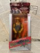 画像1: Bravestarr/Action Figure(Marshall Bravestarr/MIB) (1)