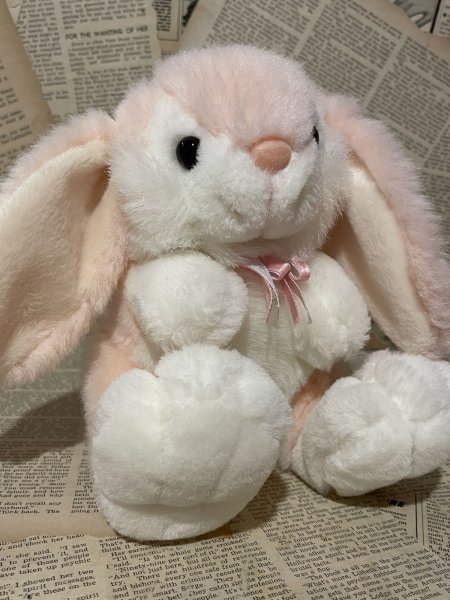 画像1: Easter Bunny/Plush(18cm) FO-013 (1)