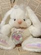 画像1: Ice Tickle Bunny/Plush(90s) FO-041 (1)