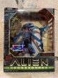 画像1: Alien Resurrection/Action Figure(Aqua Alien/MIB) (1)