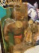 画像2: Galaxy Warriors/Action Figure(Anubi/MOC) (2)