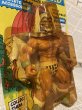 画像2: The Lost World of the Warlord/Action Figure(Warlord/MOC) (2)