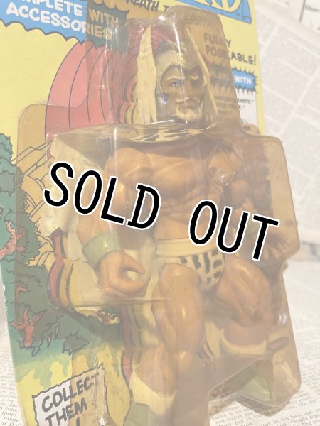 画像2: The Lost World of the Warlord/Action Figure(Warlord/MOC) (2)