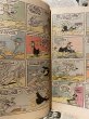 画像3: Looney Tunes/Comic(70s/H) (3)