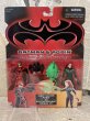 画像1: Batman/Action Figure(Robin vs Poison Ivy/MOC) (1)