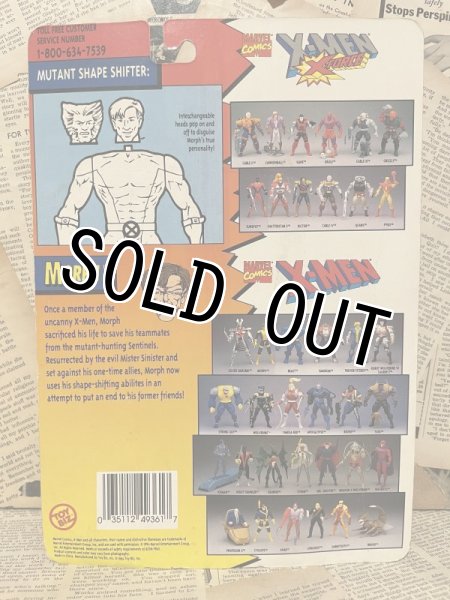 画像3: X-Men/Action Figure(Morph/MOC) (3)