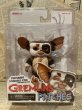 画像1: Gremlins/Action Figure(2014/Patches/MOC) (1)