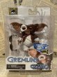 画像1: Gremlins/Action Figure(2011/Gizmo/MOC) (1)