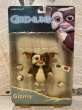 画像1: Gremlins/Action Figure(2003/Gizmo/MOC) GR-001 (1)