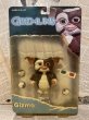 画像1: Gremlins/Action Figure(2003/Gizmo/MOC) GR-001 (1)