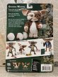 画像3: Gremlins/Action Figure(2003/Gizmo/MOC) GR-001 (3)