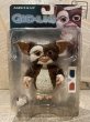 画像1: Gremlins/Action Figure(2003/Gizmo/MOC/A) (1)