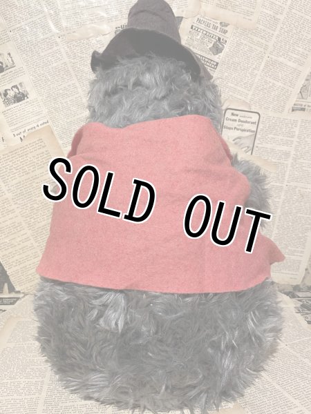 画像3: Country Bear Jamboree/Big Al/Plush(A) (3)