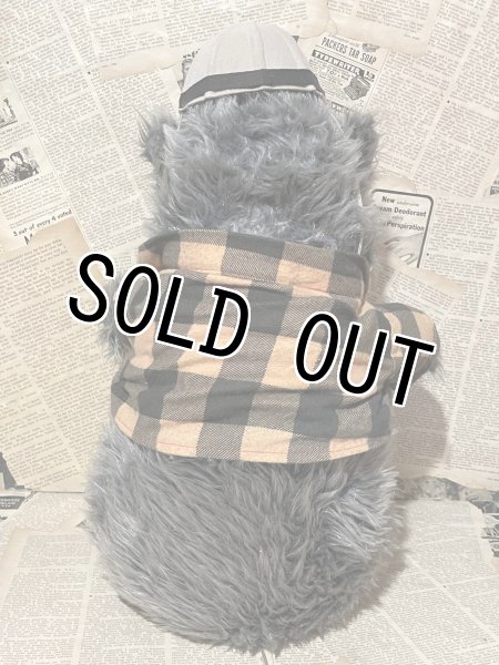 画像3: Country Bear Jamboree/Big Al/Plush(Vacation Hoedown) (3)