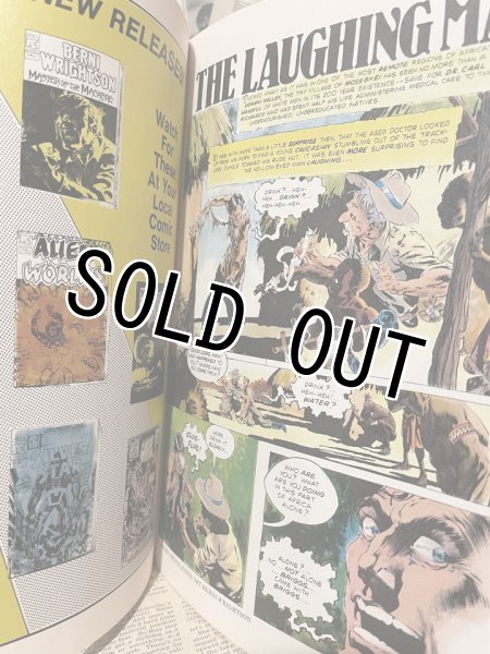 画像3: Berni Wrightson/Master of the Macabre Comic(80s/B) (3)