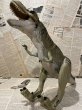 画像3: The Lost World/Action Figure(Thrasher T-Rex/Loose) (3)
