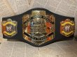 画像1: WWE/World Light Heavyweight Championship Toy Belt(2001) (1)