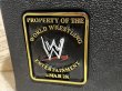 画像4: WWE/World Light Heavyweight Championship Toy Belt(2001) (4)