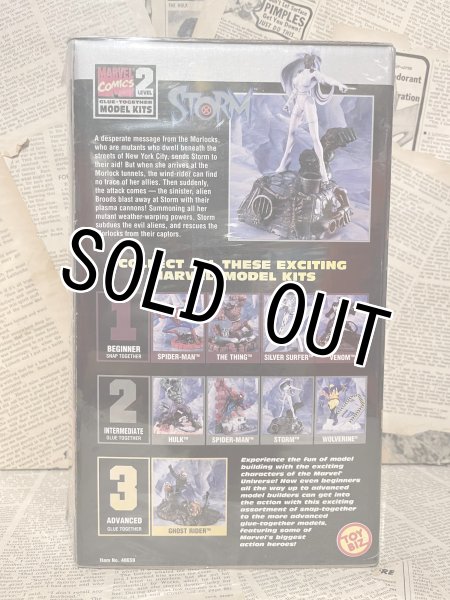 画像3: Storm/Model Kit(90s/MIB) MA-055 (3)