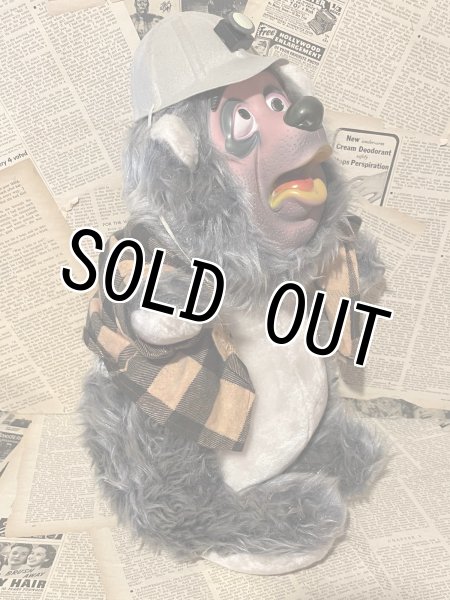 画像3: Country Bear Jamboree/Big Al/Plush(C) (3)