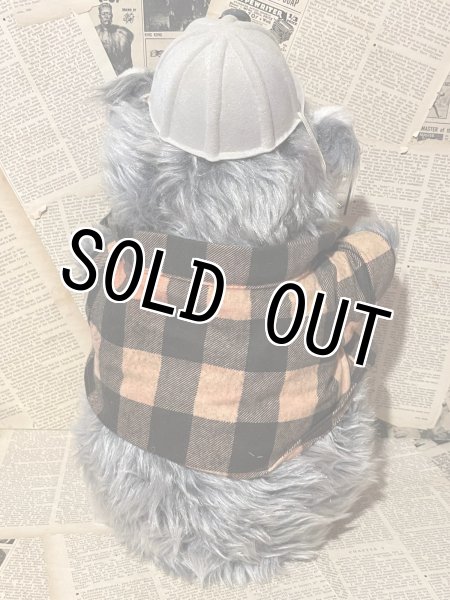 画像4: Country Bear Jamboree/Big Al/Plush(C) (4)
