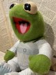 画像2: Kermit the Frog/Plush(Baby/25cm) JH-047 (2)