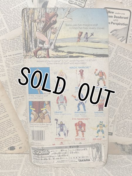 画像4: MOTU/Action Figure(80s/Teela/MOC) (4)