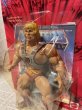 画像2: MOTU/Action Figure(00s/He-Man/MOC) (2)