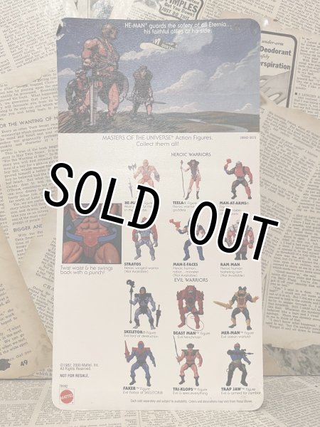 画像3: MOTU/Action Figure(00s/He-Man/MOC) (3)