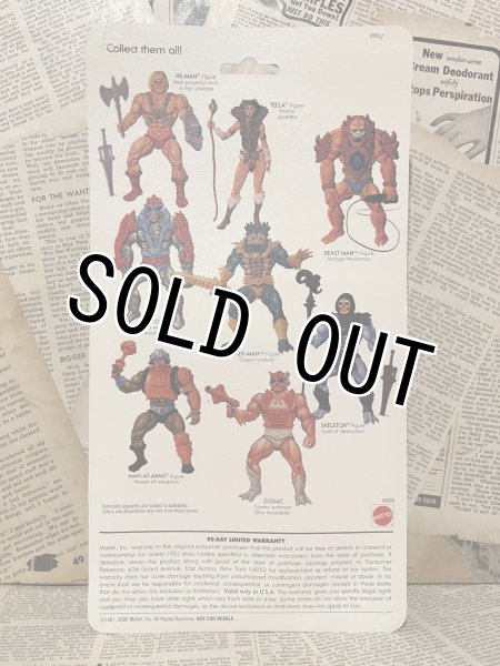 画像3: MOTU/Action Figure(00s/Skeletor/MOC) (3)