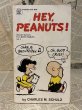 画像1: PEANUTS/Comic Book(70s) PN-013 (1)