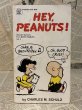 画像1: PEANUTS/Comic Book(70s) PN-013 (1)